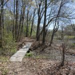 Quinobequin Road and Trail Improvements - DCR Virtual Public Meeting