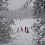 Cold Spring Park Talk: A Green Oasis in the Heart of Newton