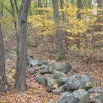 The Community Preservation Act in Newton - Has It Been Worth It?
