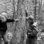 Tracking: The Art of Seeing