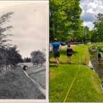 Restoring & Naturalizing Cheesecake Brook