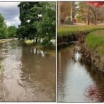 Restoring and Naturalizing Cheesecake Brook