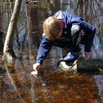 Webinar: Vernal Pools