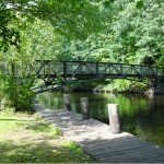 Kids' Exploration by the Charles River