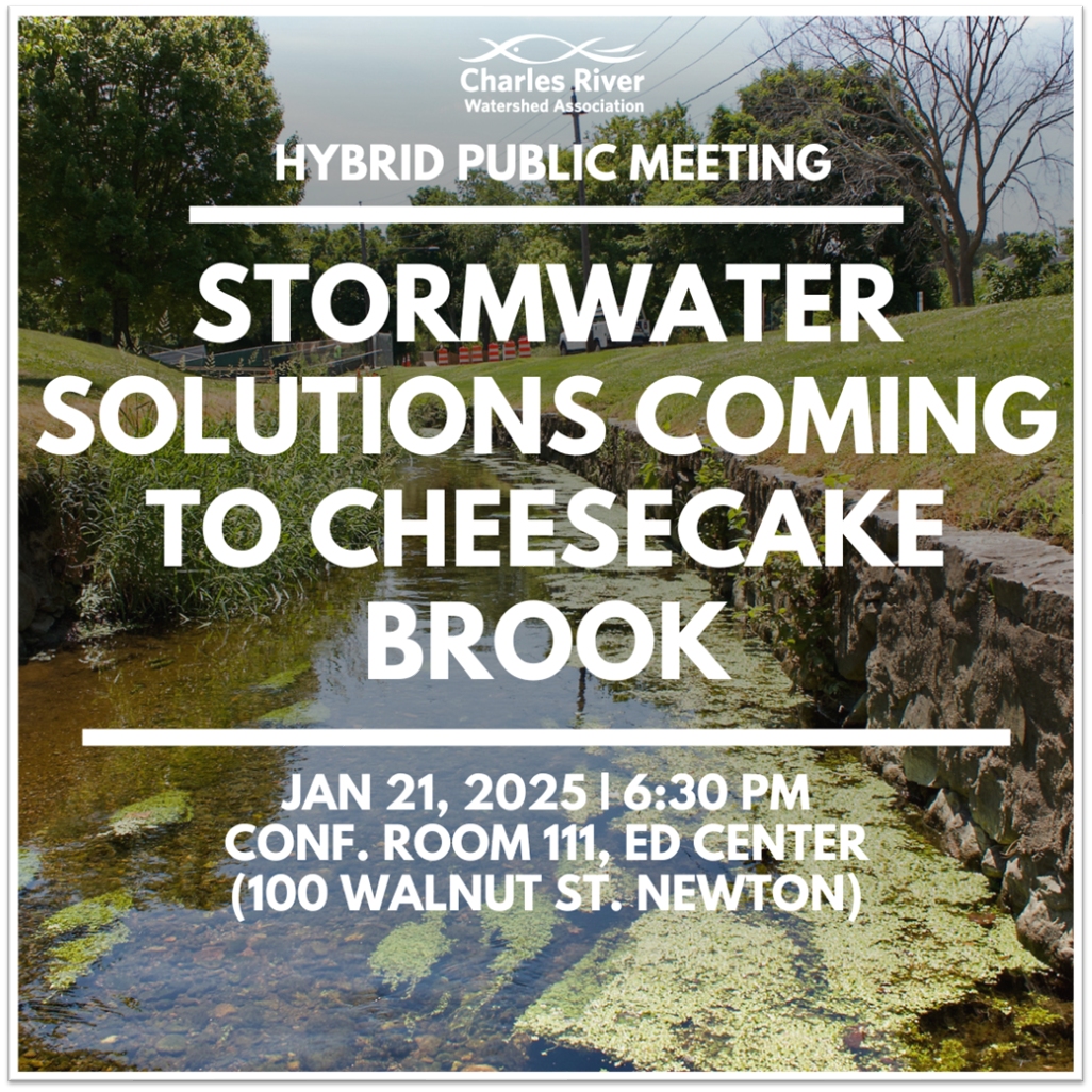 Stormwater Solutions Coming to Cheesecake Brook