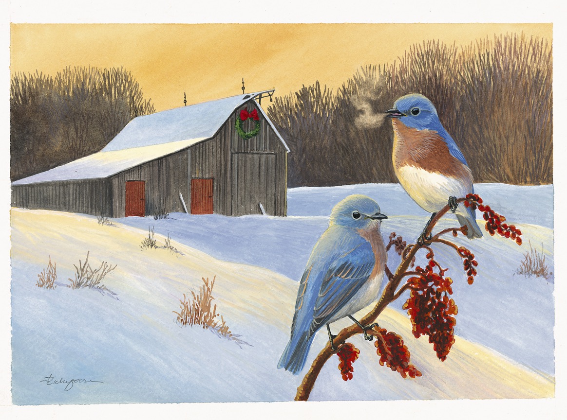 Webinar: The Bluebird Effect: Uncommon Bonds with Common Birds