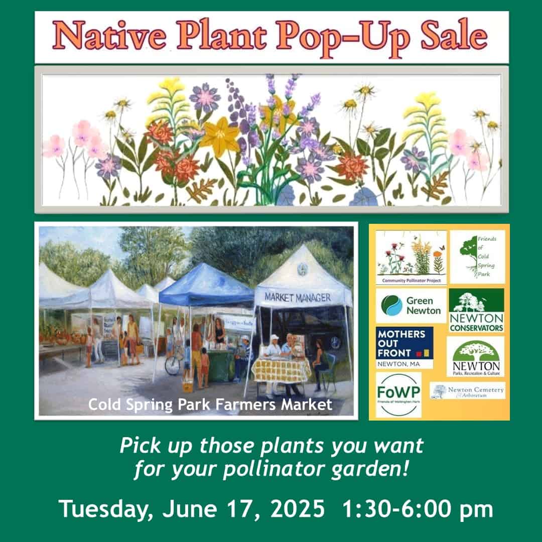 Pop-Up Native Plant Sale at Newton Farmers Market