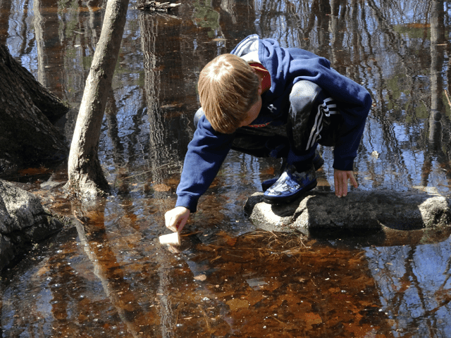 Webinar: Vernal Pools and Their Special Ecology