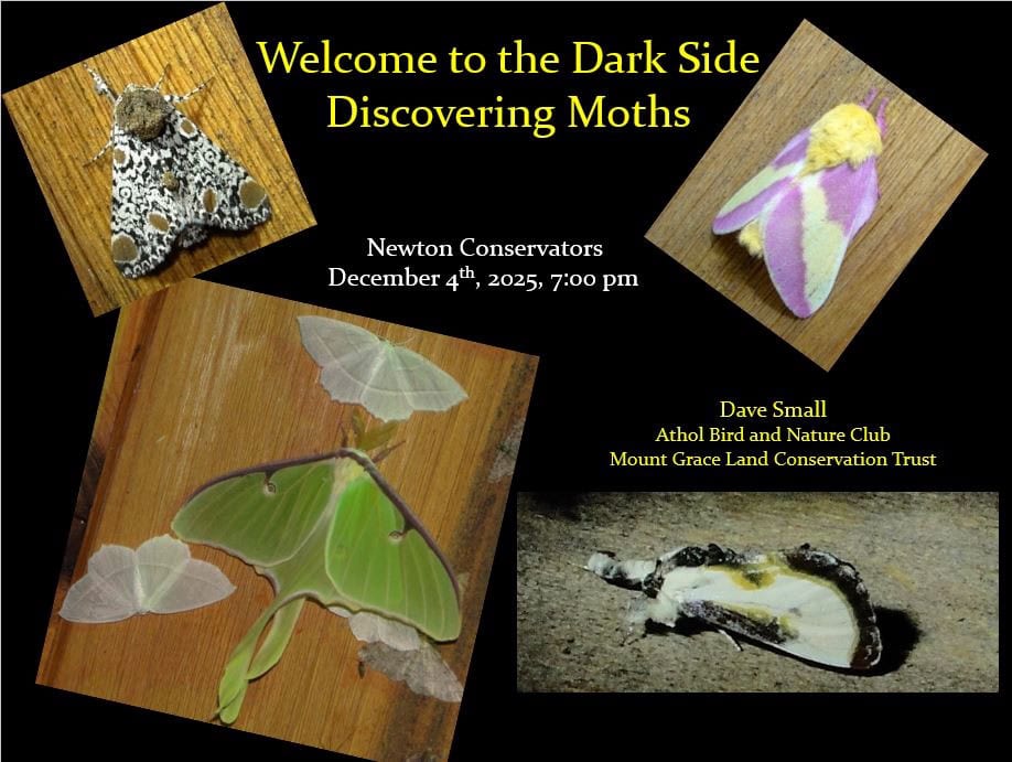 Webinar: Welcome to the Dark Side: Discovering Moths