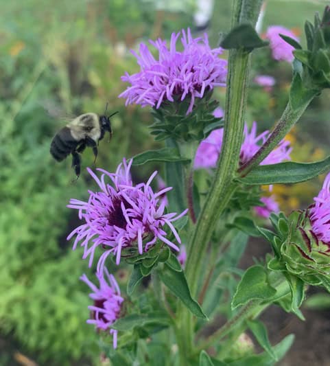 Save The Date!  2026 Annual Dinner Meeting