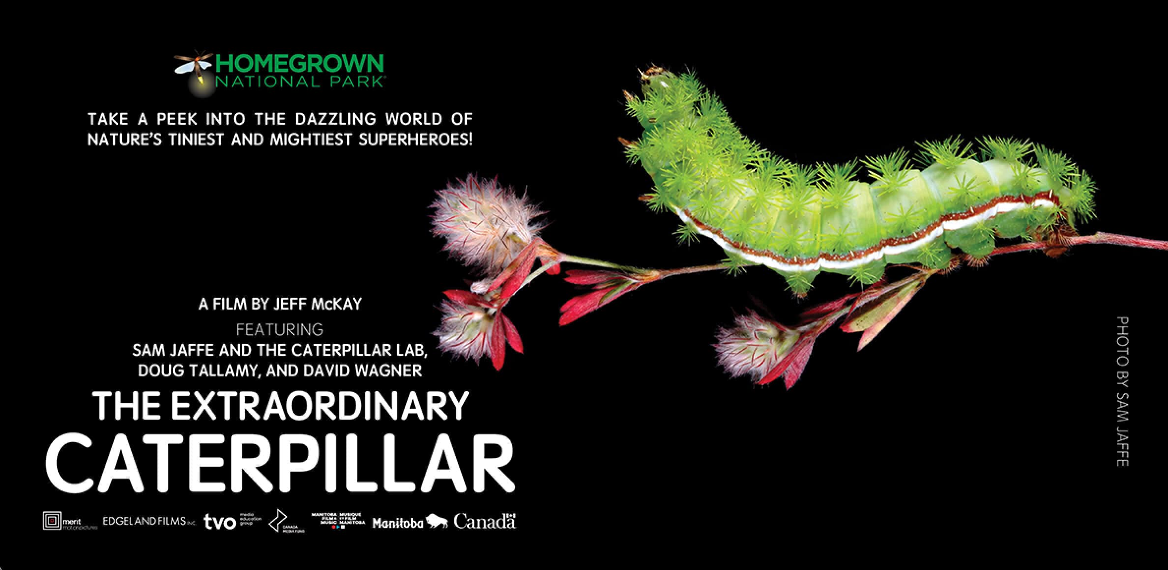 The Extraordinary Caterpillar Movie and Q&A Session with Sam Jaffe