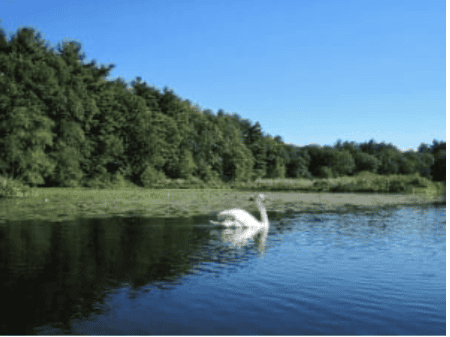See What's New at Riverside Park