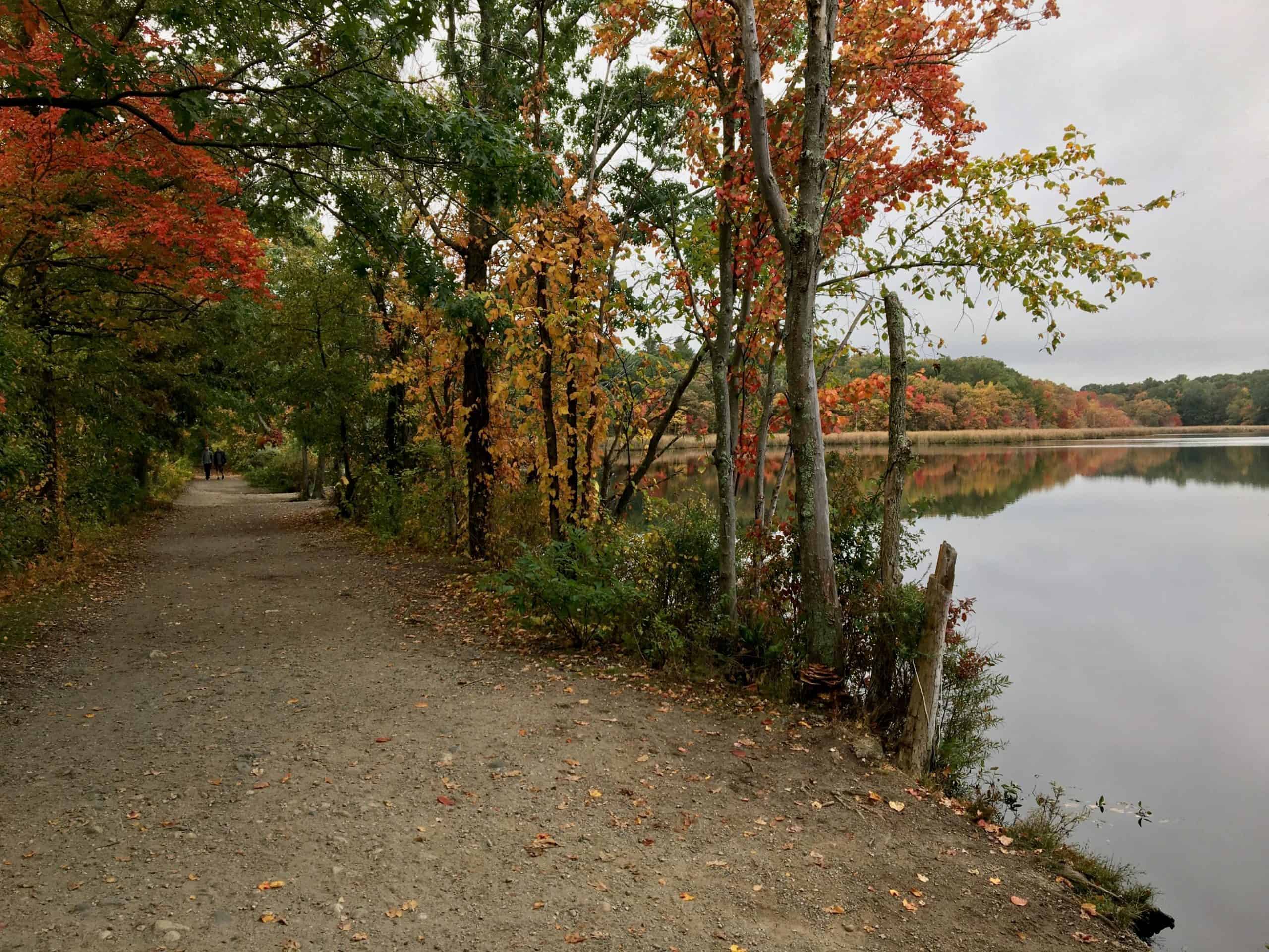 Noticing Nature & Poetry