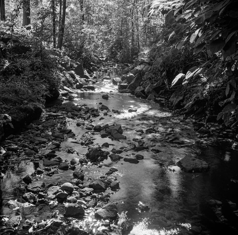 Webinar: Exploring and Photographing Newton’s Brooks and Streams